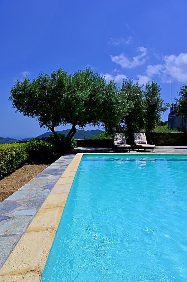 Erato Villa Skopelos Town Exterior photo
